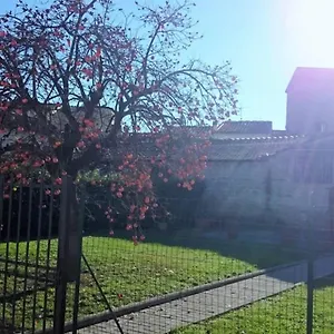 La Casa Di Lucia - Florence